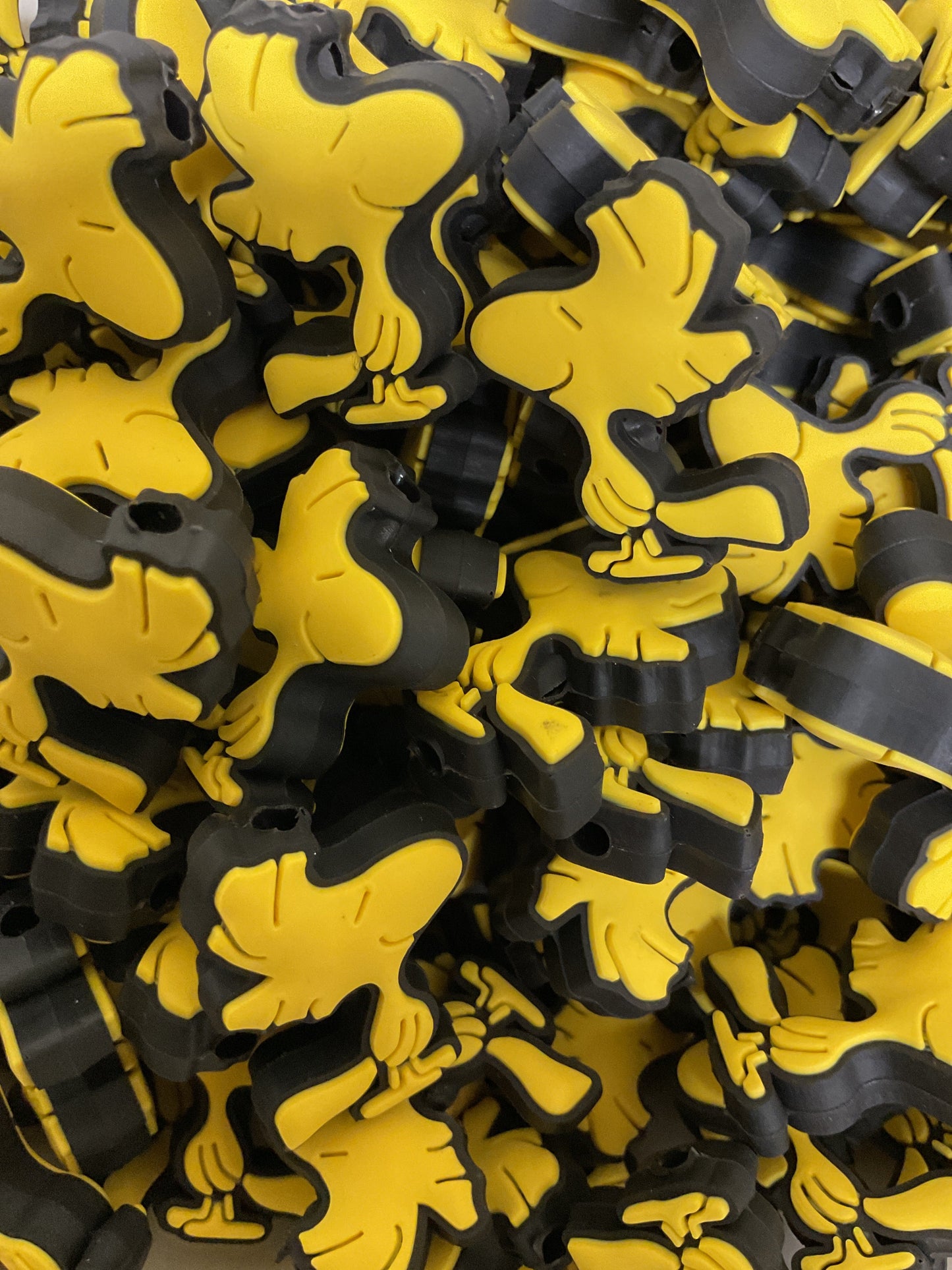 PublicWoodstock Focal