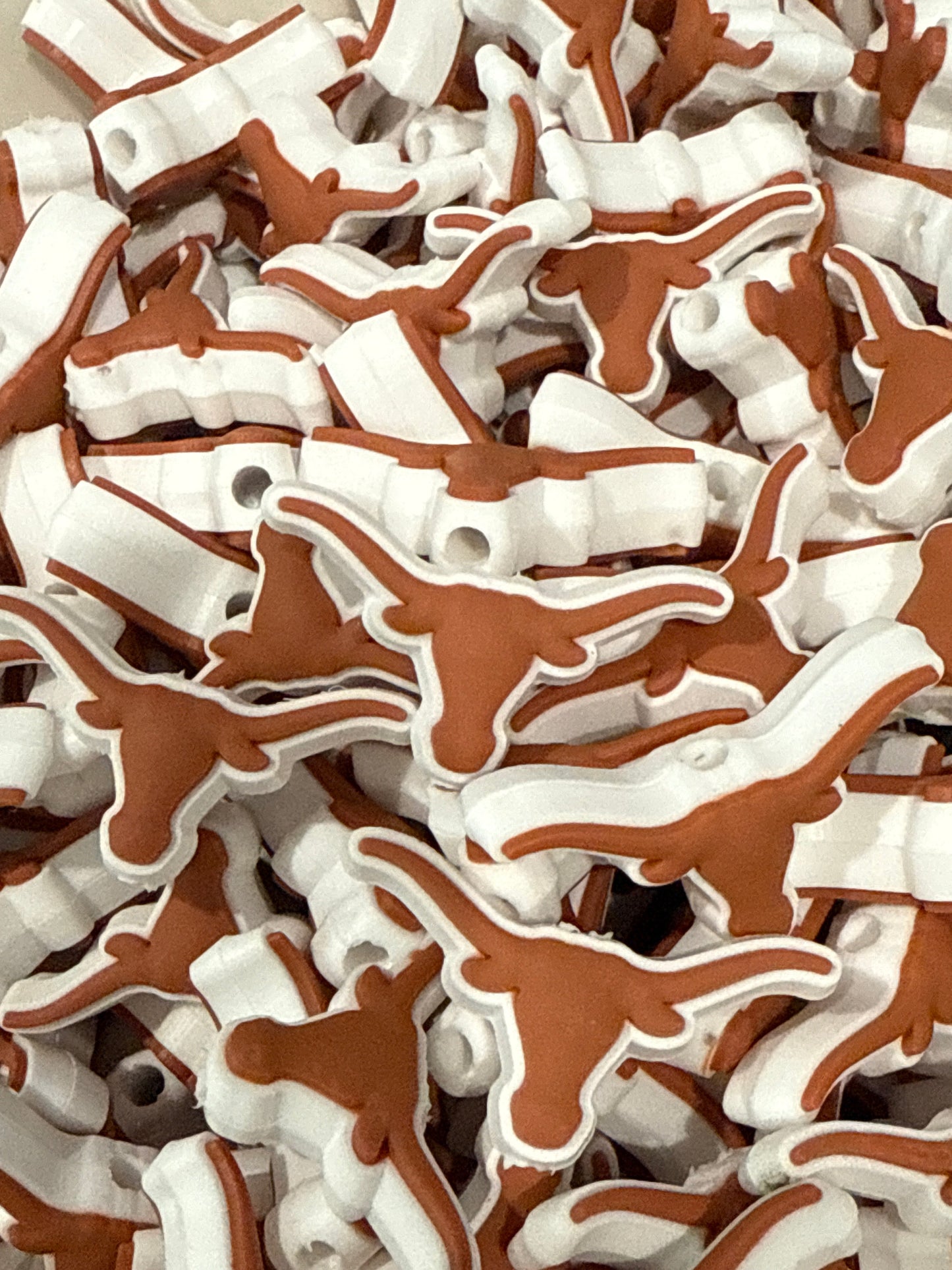 PublicLonghorn Focal