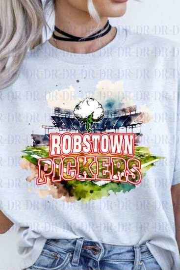 Robstown Pickers Watercolor Stadium PNG Download