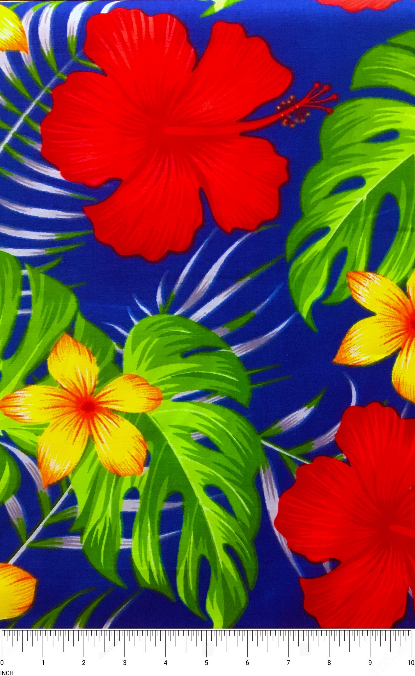All over Tropical Flowers Cotton Fabric | Islands Fabric