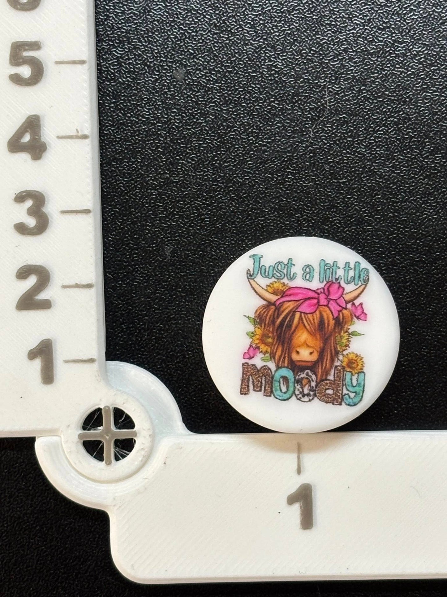 Saying - Just a Little Moody Printed Silicone Focal 0330