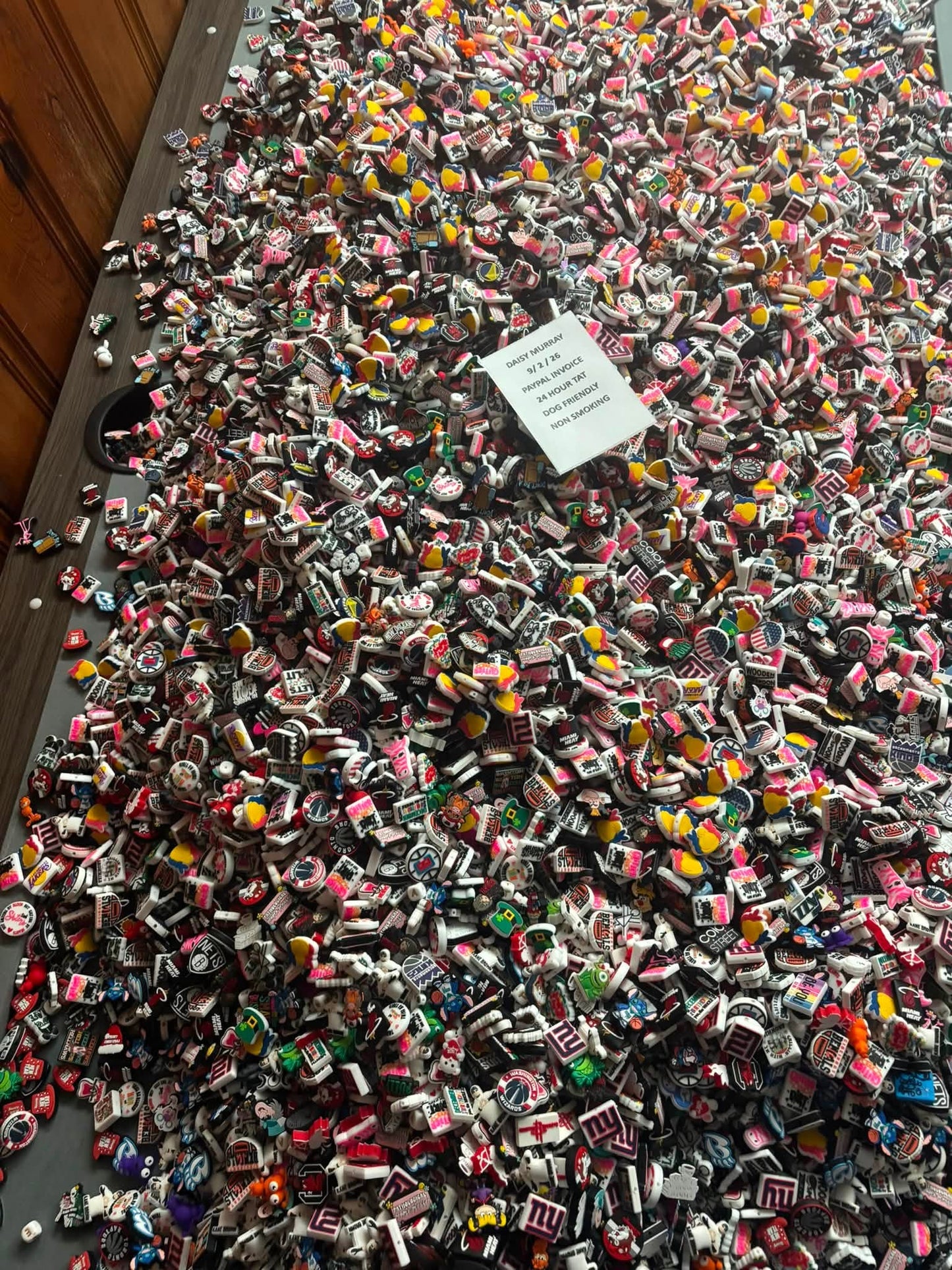 Bulk Scoop Focals