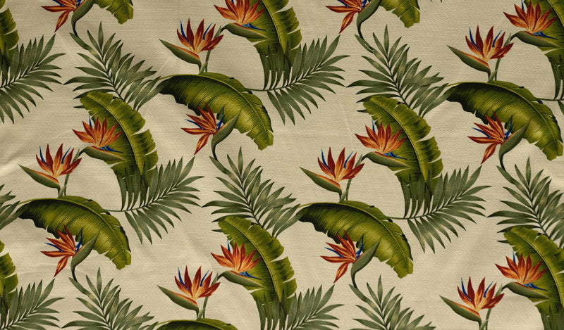 Birds of Paradise Palm Banana Leaf Upholstery Fabric | Islands Fabric