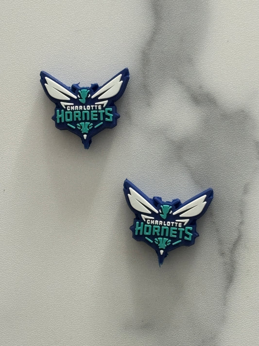 0149 - Basketball - Charlotte Hornets PVC Focal