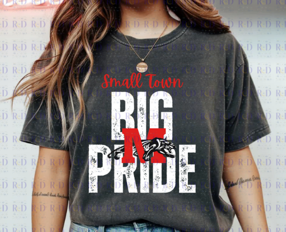 Small Town Big Pride School PNG's