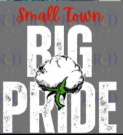 Small Town Big Pride School PNG's