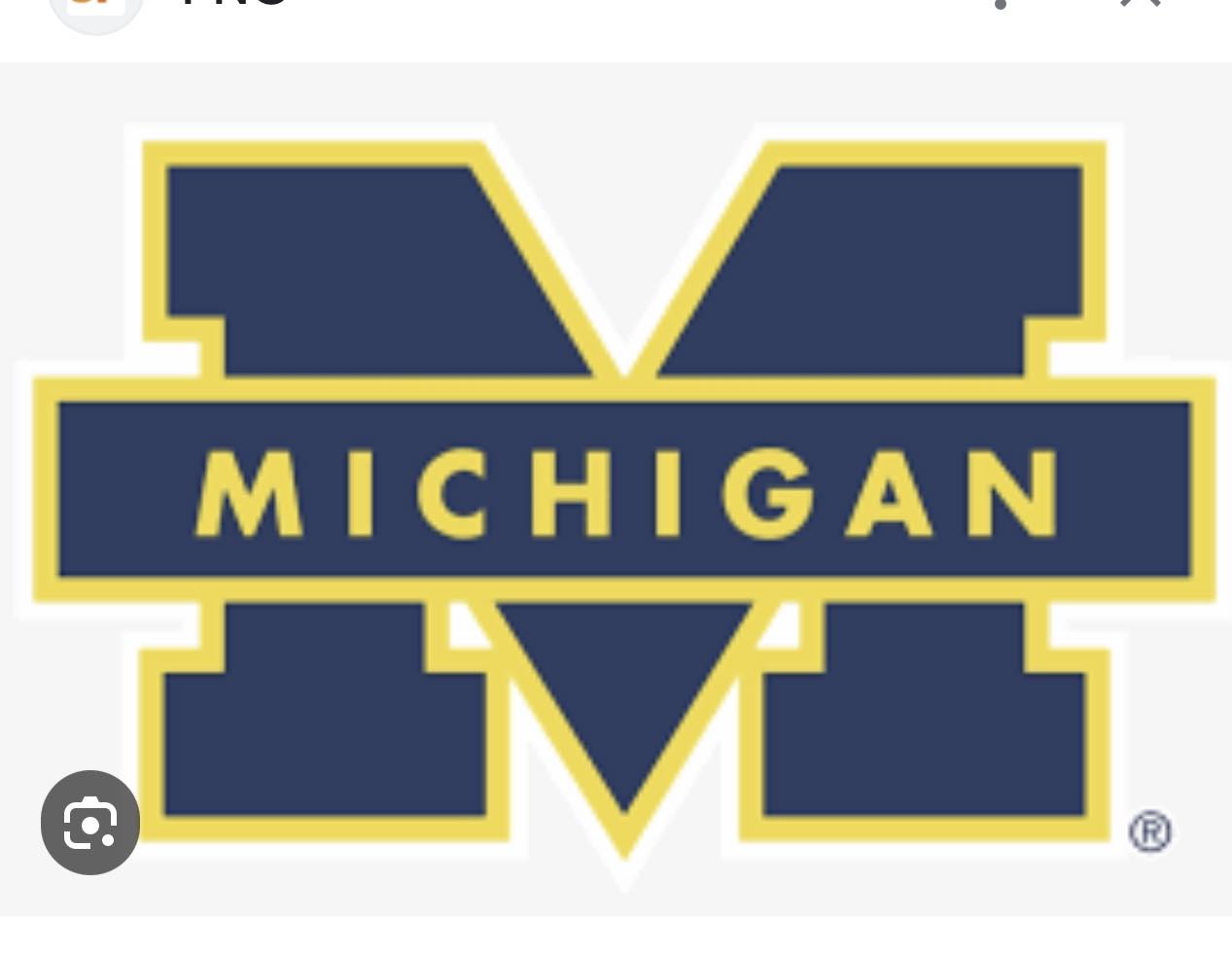 RDMichiganWolverines Silicone Focal - RD Creations Exclusive