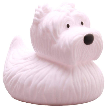Rubber Duck - Dog - Westie / West Highland White Terrier