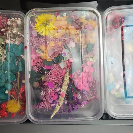 Beautiful Real Dried Flowers